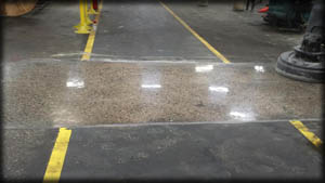 Concrete Polisher