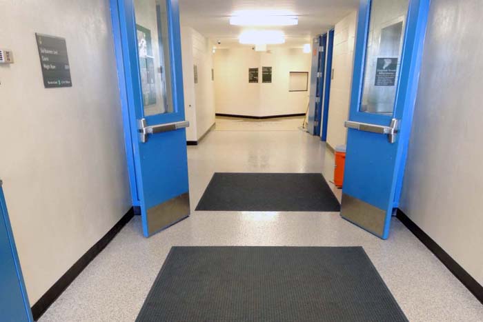 Decorative & Cove Based Floors
